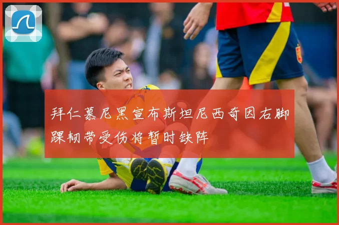 拜仁慕尼黑宣布斯坦尼西奇因右脚踝韧带受伤将暂时缺阵