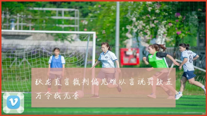 狄龙直言裁判偏见难以言说罚款五万令我无奈